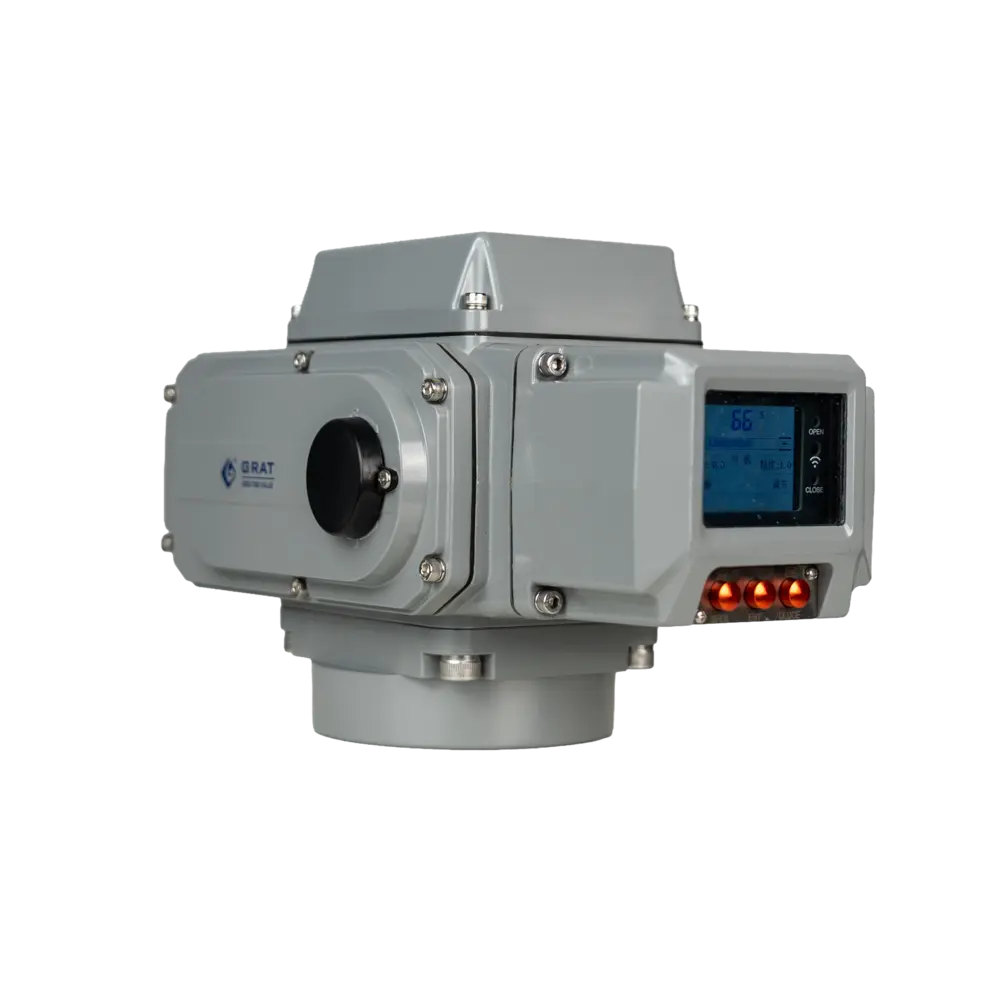 智能电动执行器 5 智能型执行器侧