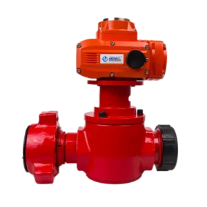 GRAT Explosion Proof Plug Valve