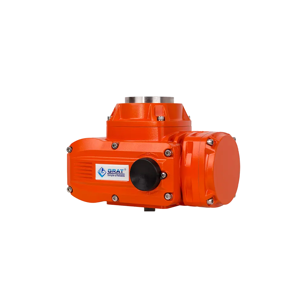 Explosion proof electric actuator 5 Explosion proof electric actuator 5