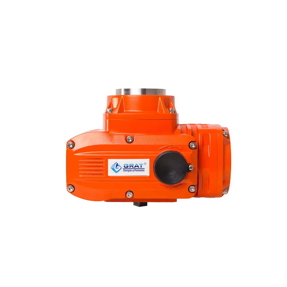 Explosion proof electric actuator 6 Explosion proof electric actuator 6